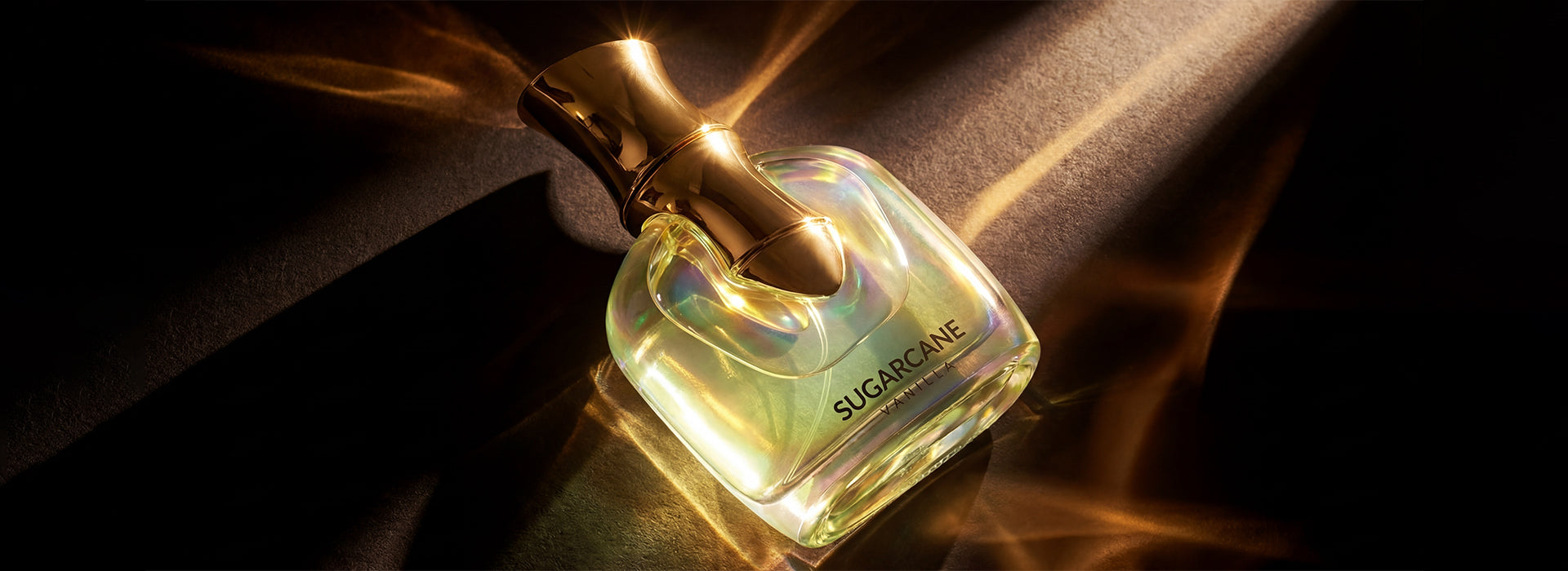 My Perfume’s Latest Launches: Signature Scents for Men & Women