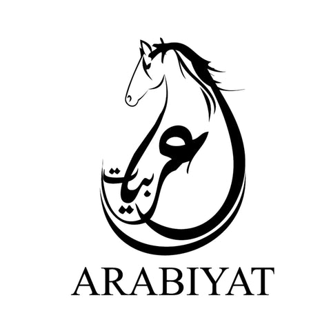 Buy Perfumes Online UAE - Best Arabic Perfume in Dubai – Myperfumes factory